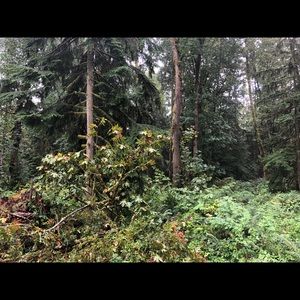 Meet your Posher, Cynthia